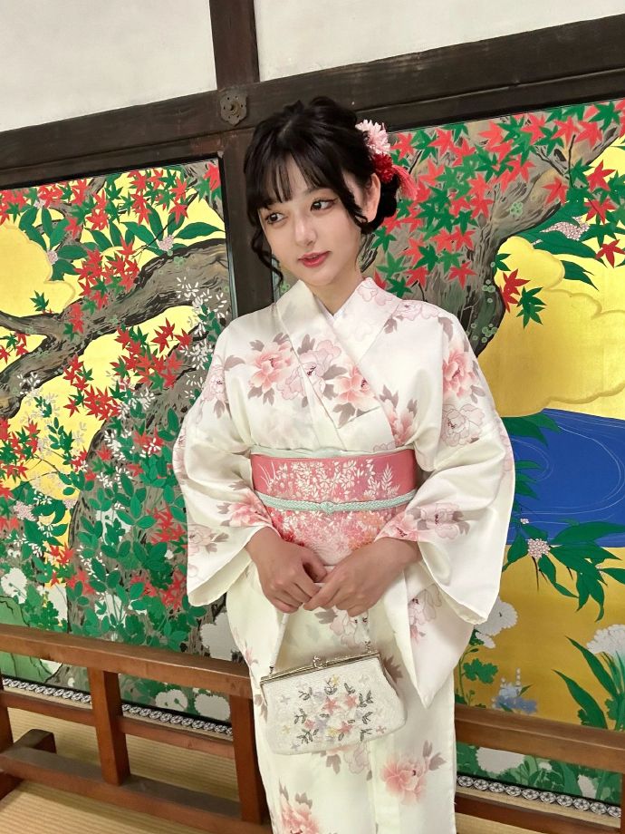 法国派遣 封面