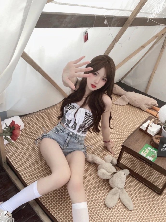 莫扎特传 封面